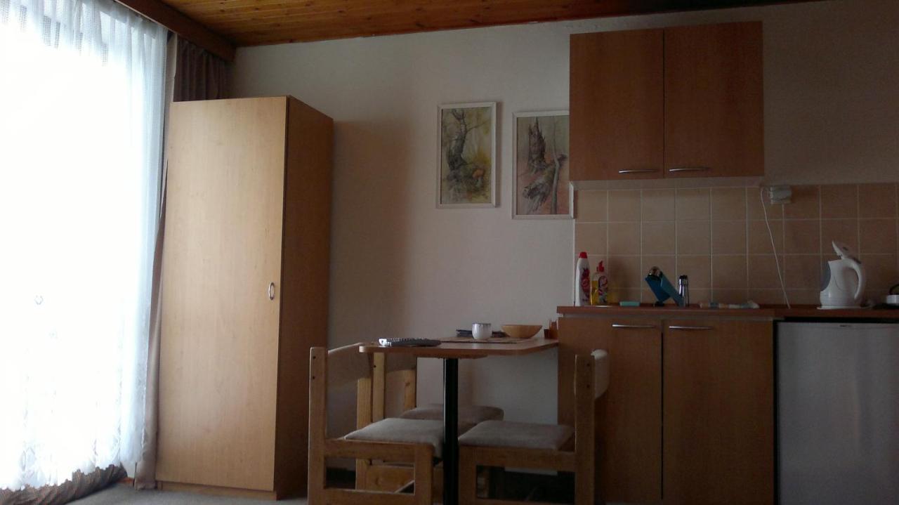 Apartmany U Ady Железна Руда Екстер'єр фото